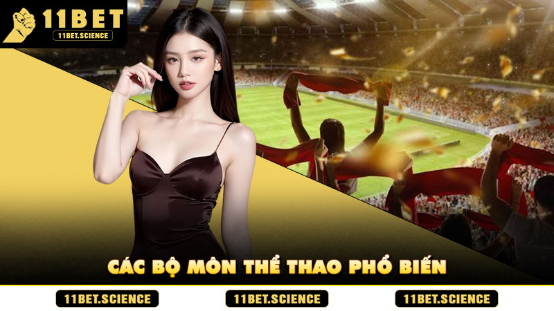 Các bộ môn thể thao phổ biến