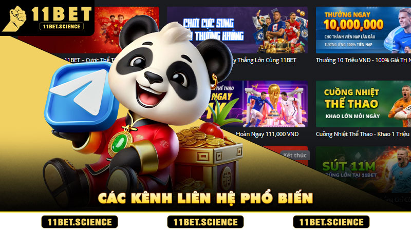 Các kênh liên hệ phổ biến