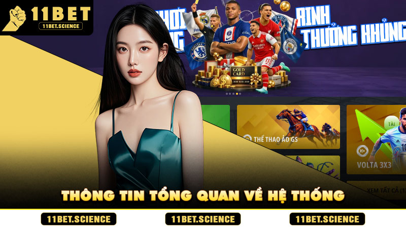 Thông tin tổng quan về hệ thống