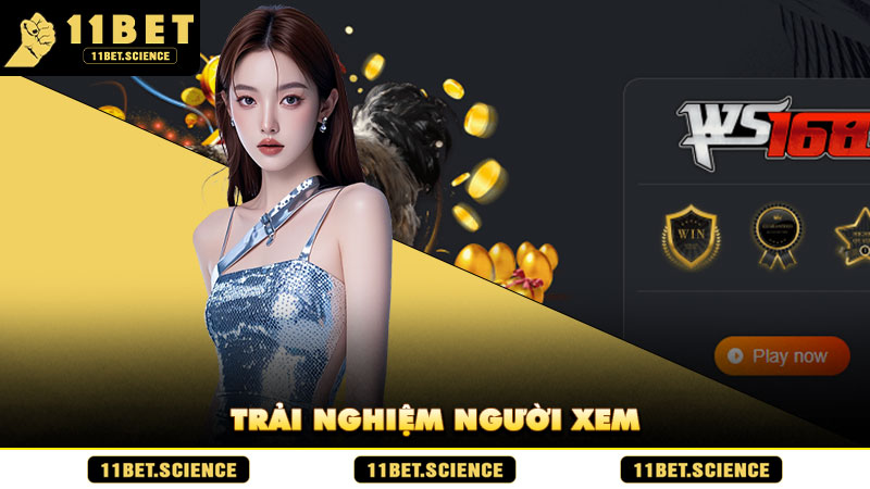 Trải nghiệm người xem