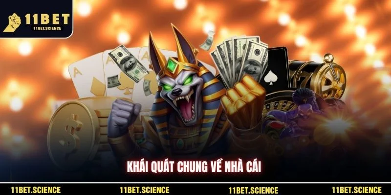 Khái quát chung về nhà cái